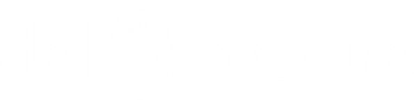 El Tesoro Del Bosque